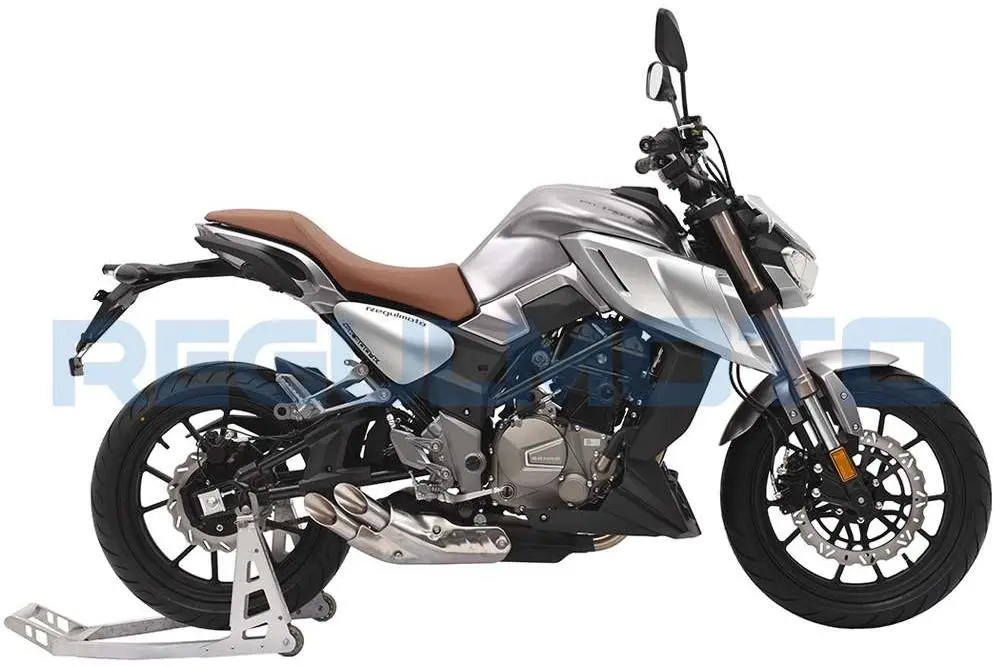 Мотоцикл Regulmoto Alien Monster (Регулмото Элиен Монстер) 300 Серый (old)